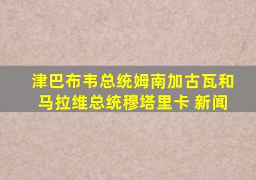 津巴布韦总统姆南加古瓦和马拉维总统穆塔里卡 新闻